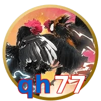 qh77